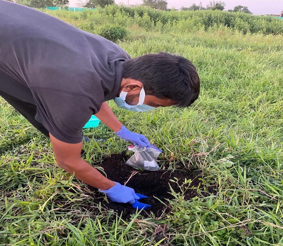 Soil sample collection on the farm